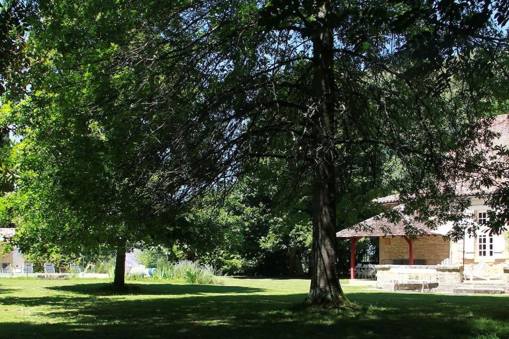 La Chartreuse Maison D Artistes Bergerac Dış mekan fotoğraf