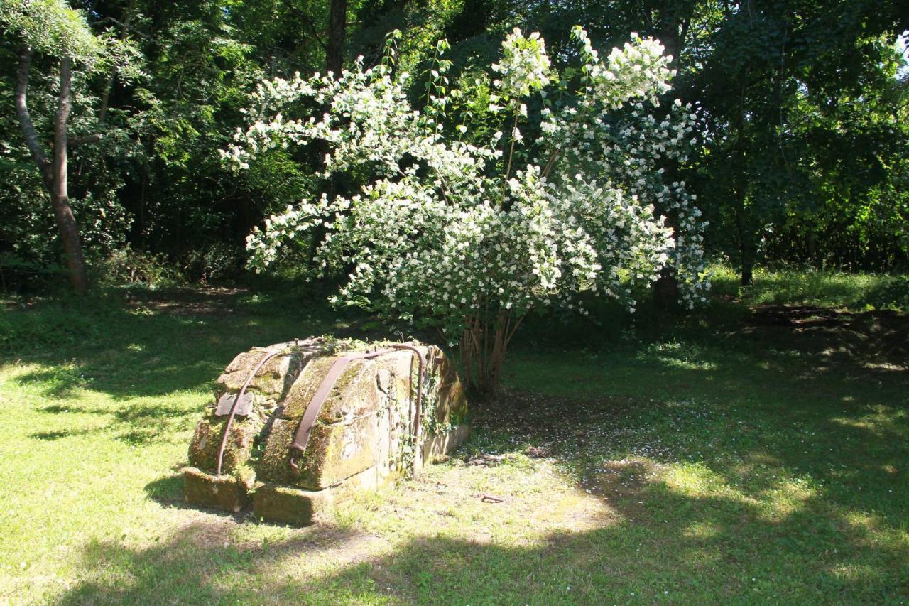 La Chartreuse Maison D Artistes Bergerac Dış mekan fotoğraf