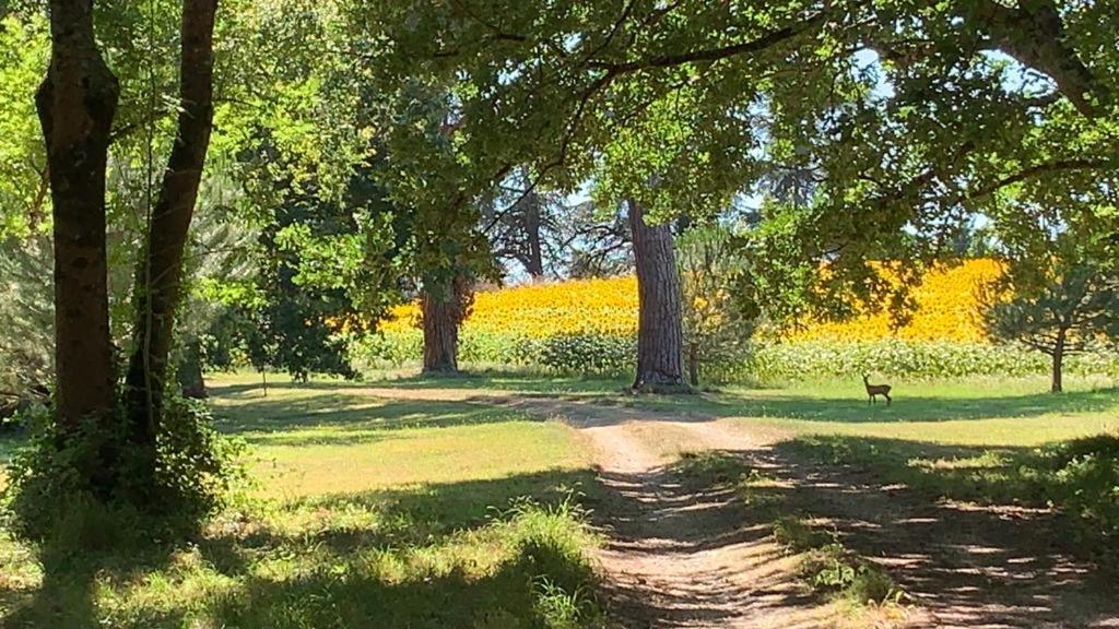 La Chartreuse Maison D Artistes Bergerac Dış mekan fotoğraf